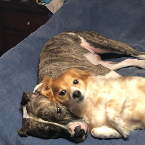 Meet your Posher, Jamie - Picture 1 of 2